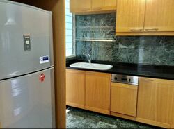 Crystal Rhu (D15), Apartment #392080771